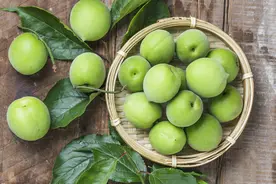 增进食欲的青梅-青梅做法及功效图片