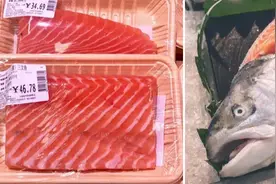 挪威三文鱼遭曝光！经查，鱼身布满溃疡，多为畸形鱼！挪威政府：希望中国继续购买图片