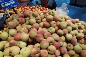 买毛桃，挑软的还是硬的？果农：都不对，牢记这3点，一挑一个准图片