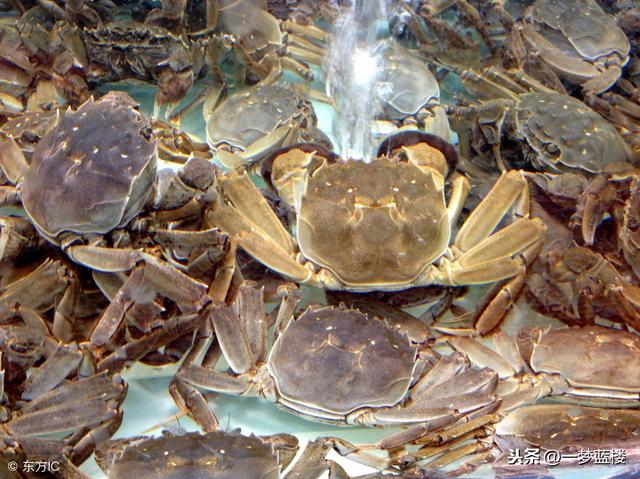 閭ｄ簺鍙湁鍦堝唴浜烘墠鐭ラ亾鐨勫皬绉樺瘑锛堢涓€寮癸級