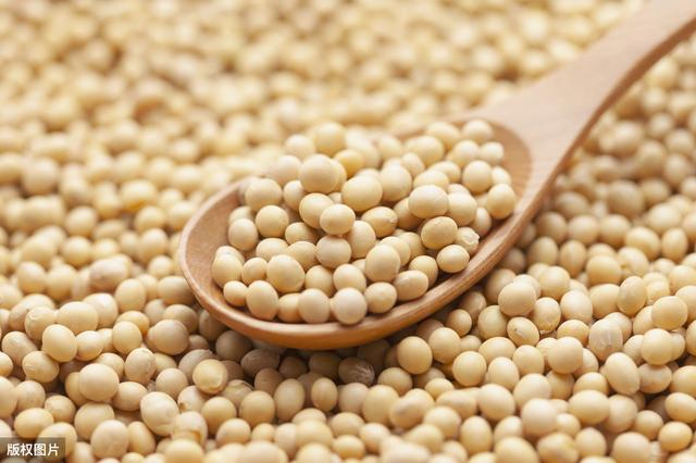 绾礌椋熶富涔夎€咃紝璞嗗埗鍝佹湁澶氶噸瑕佲€斾腑鍥借眴鍒跺搧浜т笟骞冲彴