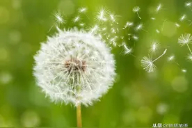 这些“软fufu的”词太有触感了图片