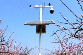 西华县万亩桃园安装“智慧眼”：昔日种桃凭经验 今日种桃用科学图片