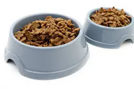 制作犬饲料要注意哪些方面？图片