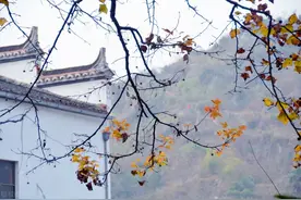 一屋两人，三餐四季，在岁月河山里淡看烟火流年图片
