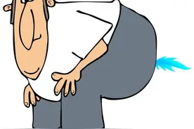 屁的冷知识图片