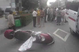 骑手骨折，肇事大黄狗“逃逸”，警察缜密追“凶”图片