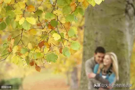 autumn是“秋天”，year是“年”，那“autumn years”是什么意思图片
