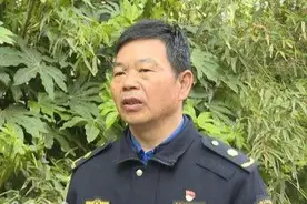 宿迁来了42辆“静音” 垃圾清运车 更安静更环保图片