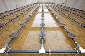 江西推进污水管网建设 升级污水处理设施图片
