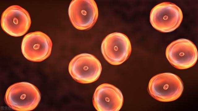 高中生物：必修1-3课本中的重点句合集