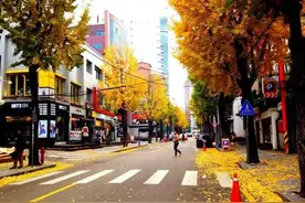 为什么韩国人的身份证上，非要用括号额外再写上一个中文名字？图片