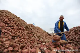 农户自用加工红薯淀粉怎样快速烘干？来看看小型红薯淀粉烘干设备图片