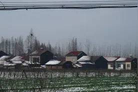 爸爸的职业图片