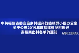 “武夷山”荣获2019年度福建省乡村振兴实绩突出村图片
