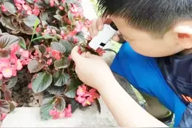 把视线放大120倍的家用显微镜，仅巴掌大小，扔给孩子能玩一天图片