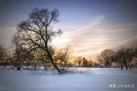 叠字之美的岁晚怀人，12句短诗，12组叠字，吟出最美相思图片