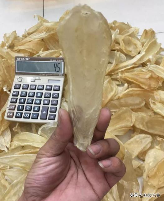 太平洋 产妇 花胶 2025年产后 花胶