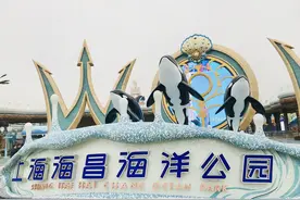 为什么江浙沪这些主题乐园这么受欢迎，让我们看看都有哪些？图片