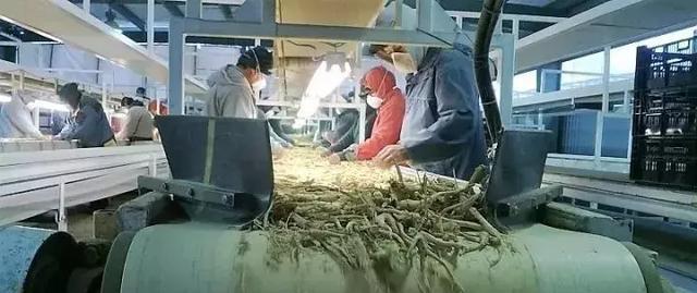 鏋佸湴澶╃劧瑗挎磱鍙傦紝鍛婅瘔浣犱笉鐭ラ亾鐨勫仴搴风瀵? onerror=