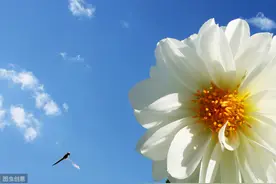 宅家里，也可以开启在线云旅游模式图片