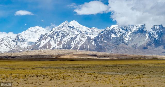小山雀，为啥能在青藏高原来去自如