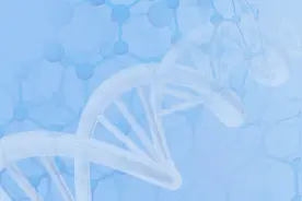 基蛋生物：对基蛋、安图、新产业的研究补充 | 三省案例12集图片