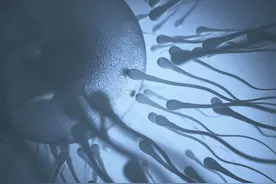 南瓜子的四大功效图片