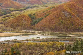辽宁吉林黑龙江：远行广东的年轻人，勿忘东北是你们长大过的地方图片