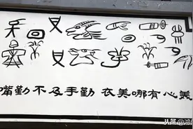 解读四川谚语系列——不入虎穴 焉得虎子图片