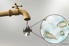 美国现“食脑虫”感染，致死率曾达97%，预防它其实并不难图片