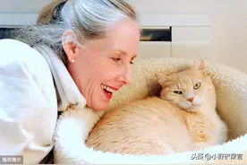 为什么猫咪在老年人群体中更受欢迎？养狗不香吗？安静陪伴更吃香图片