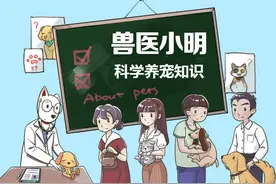朋友家养了一只狗，啃骨头卡住了咽喉，狗狗能吃骨头吗？图片