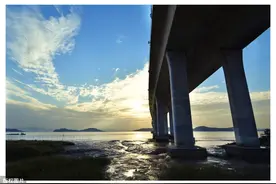 乐清湾大桥图片