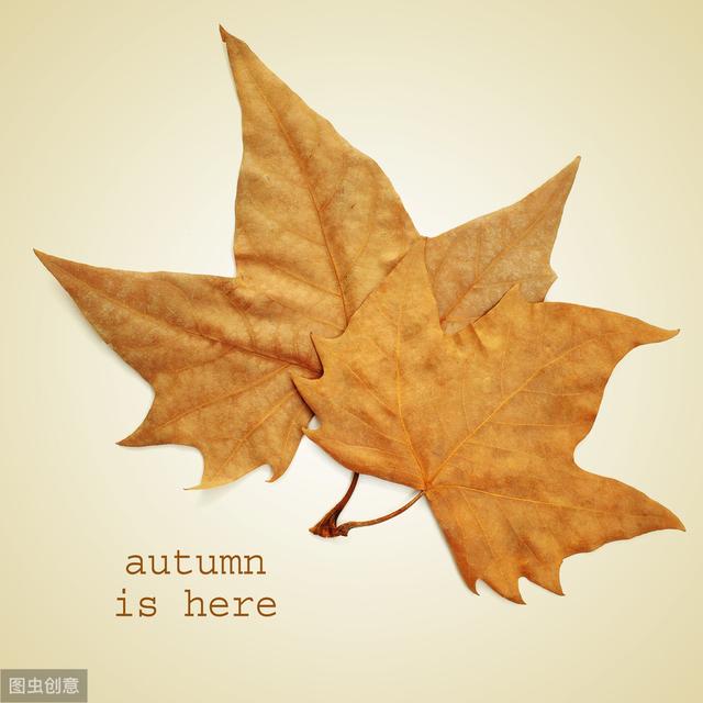 dale怎么读（中国成语翻译成英文居然可以这么形象来看看这30句中英翻译）