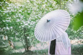 每日一文：《孔雀东南飞》生人作死别，恨恨那可论？念与世间辞图片