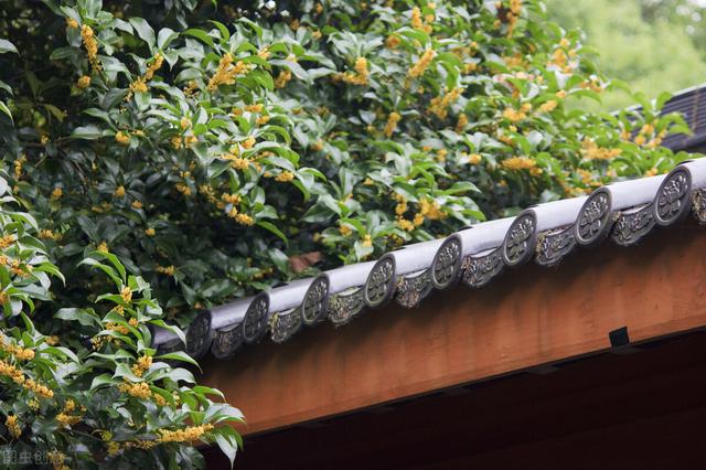 鱼鳞病每年都更多