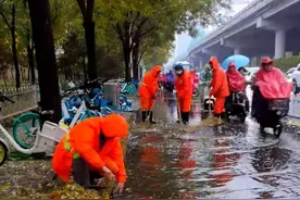 雨后秋叶飘落，石家庄环卫工人顶风冒雨作业图片