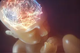 哈佛大学研究发现：儿童大脑发育高峰期一生就只有3次，至关紧要图片
