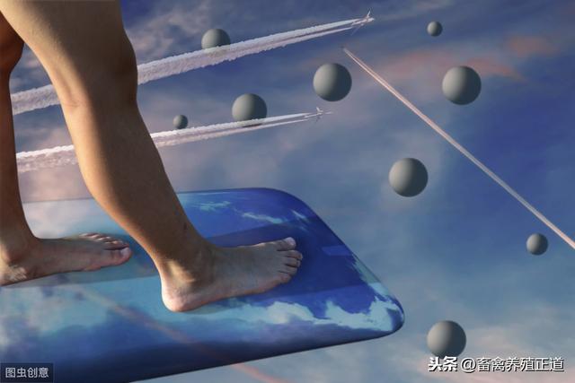 兽药基础知识入门学习概要