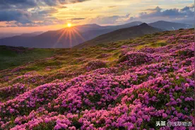 有种爱情，叫黄光裕和杜鹃！婚姻如何拯救了国美？图片