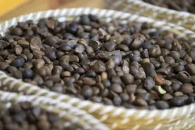 古法木榨油百公斤出35斤左右，保留油的原香和营养，因而不愁销路图片