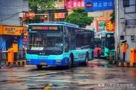 最新！青岛西海岸新区关于部分公交线路恢复运营的通告图片