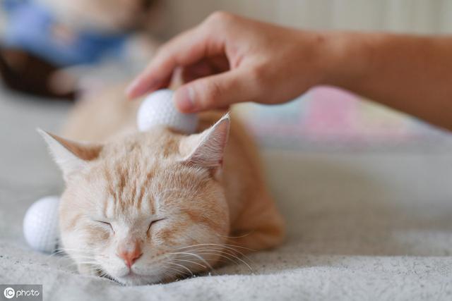 鈥滀笁楂樷€濇槸鐜颁唬绀句細鍋ュ悍涓夊ぇ鏉€鎵嬶紝杞诲害楂樿鍘?0绉嶉檷鍘嬪悍澶嶈壇鏂? onerror=