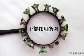 公务员、事业人员“三龄两历一身份”对于晋升提拔有什么作用？图片