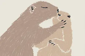 범피펜슬（韩国）动物插画图片