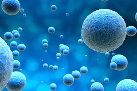 “定制器官”有望了！皮肤细胞培育出微型人类肝脏图片