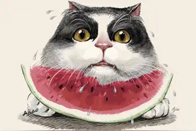 留在夏天的秘密图片