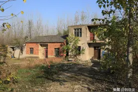 60年代的纯真爱情图片
