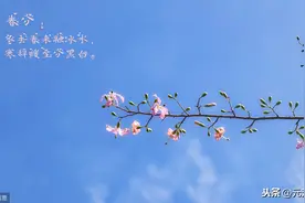 每日干货：红杏出墙买入法图片